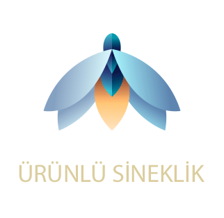 logo_png